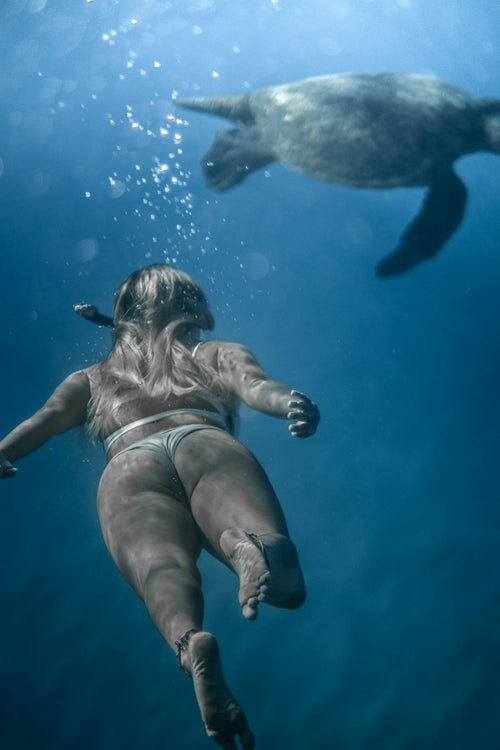 Akumal: Nado con Tortugas + Cenote