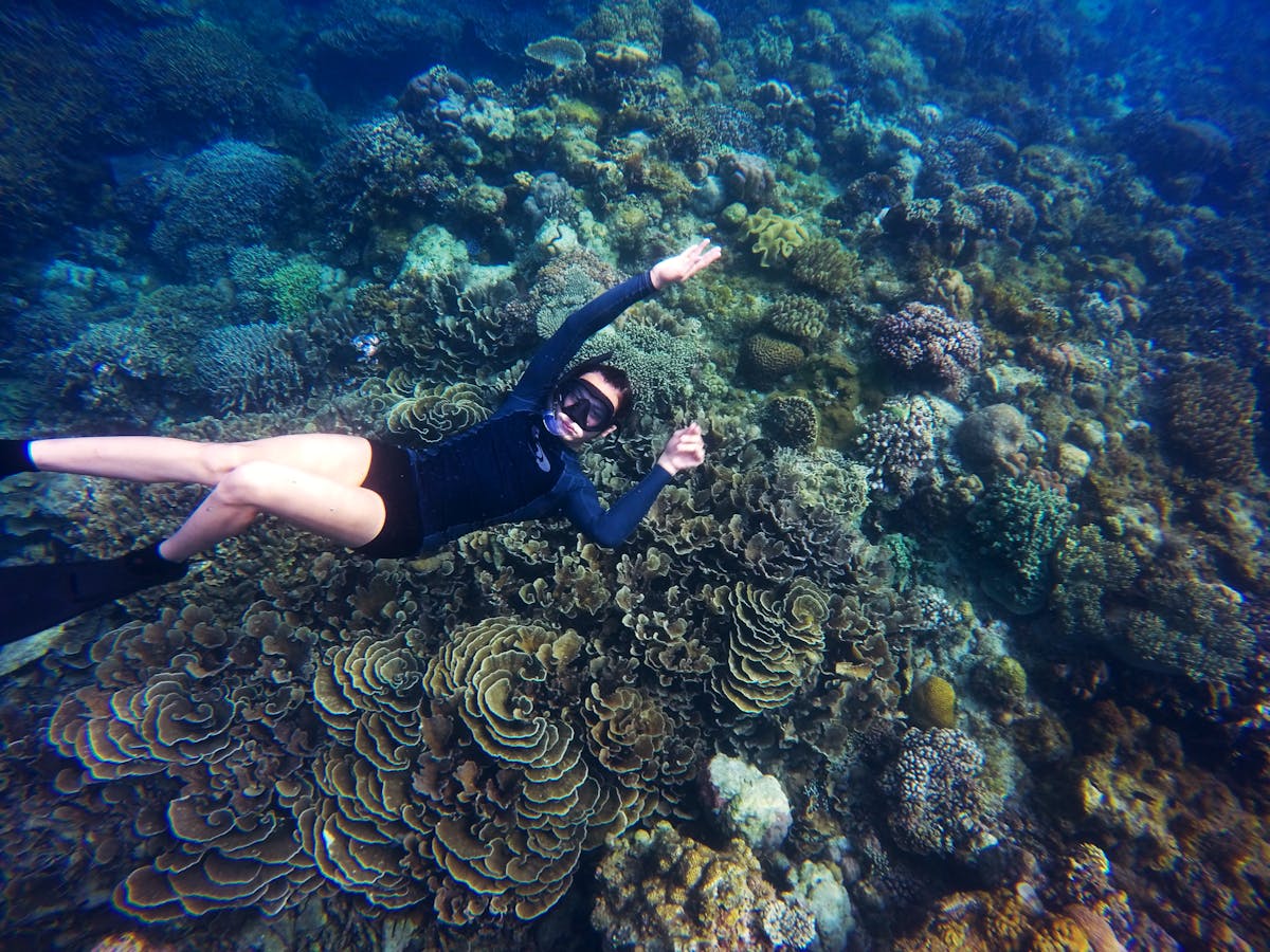 Xcaret Plus